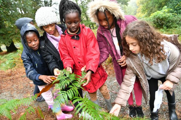Ground-breaking Generation Green project exceeds projected reach 2x