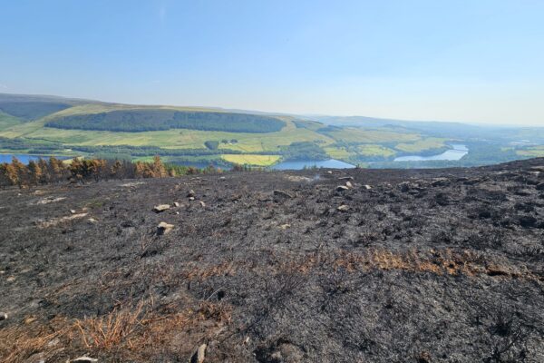National Parks UK welcomes action on wildfire resilience